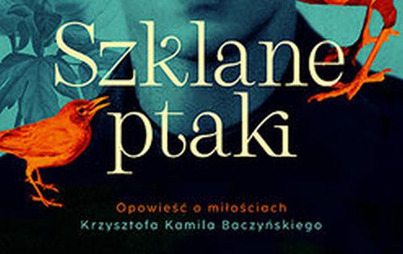 Zdjęcie do Recenzja książki &quot;Szklane ptaki&quot; Katarzyny Zyskowskiej 